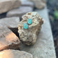 Turquoise stone earrings on a rock with natural background